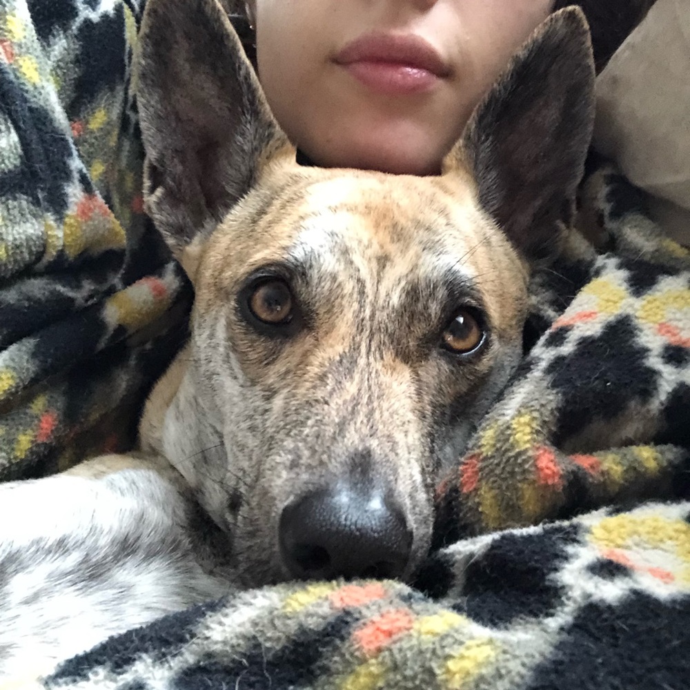 Meet your Posher, Gigi